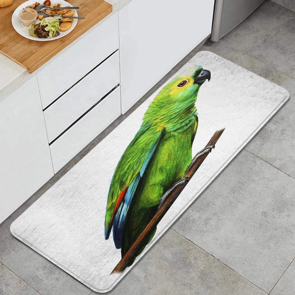 Amazon.de: Waschbarer Küchenteppich, Grüner brasilianischer Papagei