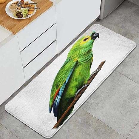 Amazon.de: Waschbarer Küchenteppich, Grüner brasilianischer Papagei