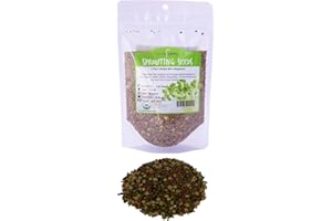 5 Part Salad Sprout Seed Mix -1/2 Lbs (8 Oz) - Organic Sprouting Seeds: Radish, Broccoli, Alfalfa, Green Lentil & Mung Bean -