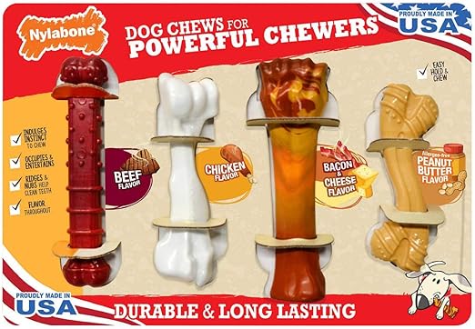 patterdale terrier puppies for sale near me