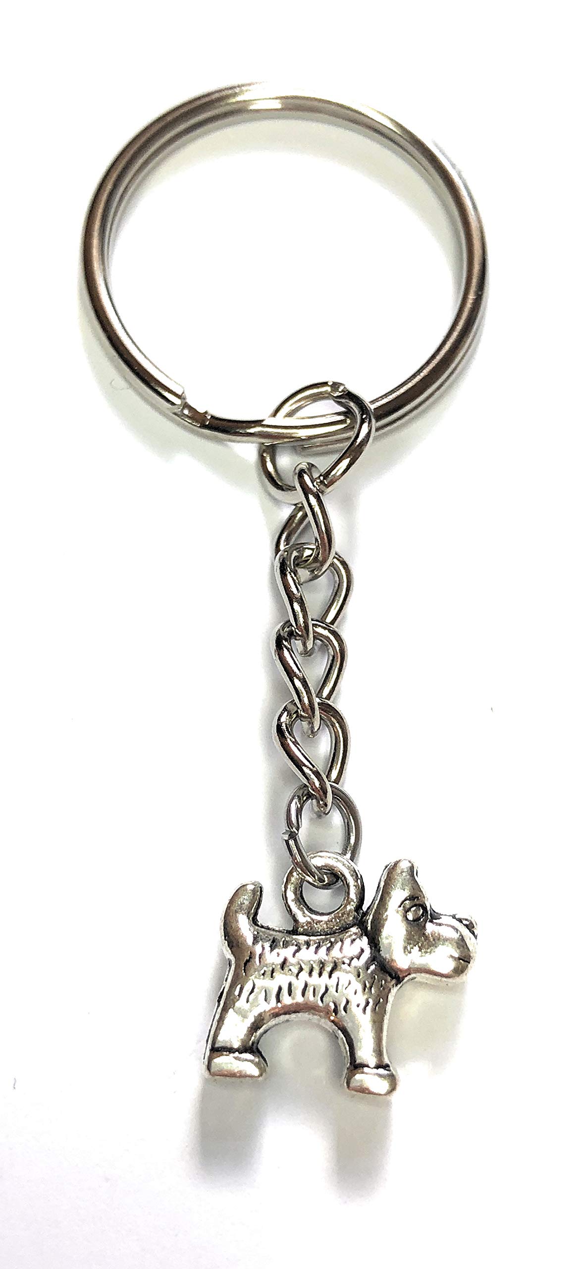 FizzyButton Gifts Terrier Dog Puppy Charm Keyring Key Ring with Silver Tone Keychain