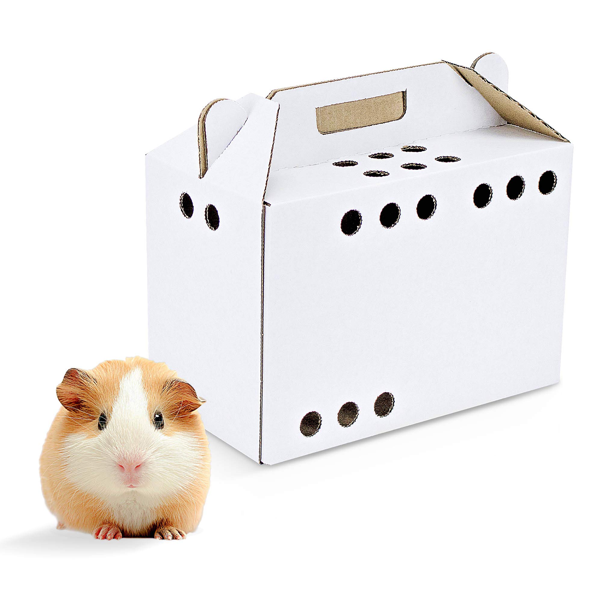 disposable pet carrier