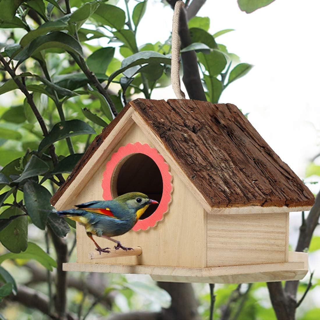 kathson Wooden Bird House Hanging Hummingbird Nest Natural Cedar Outside Garden Patio Decorative for Dove Finch Wren Robin Sparrow Hummingbird : Garden & Outdoor