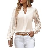 ZOOMOON Womens Tops Dressy 2025 Fall Casual Sheer Long Sleeve V Neck Shirts Loose Flowy Business Work Blouses for Women Apricot L