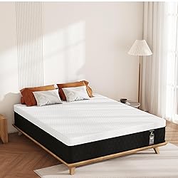 JEEKEA Queen Mattress in a Box - 10 Inch Memory