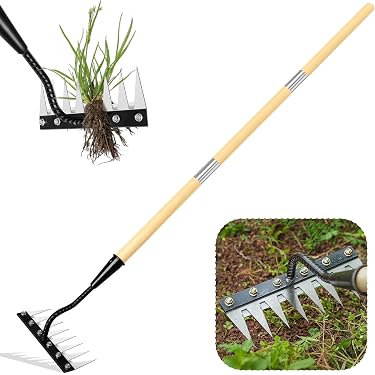 What is the Best Garden Tool Removing Dead Plants: Top Picks