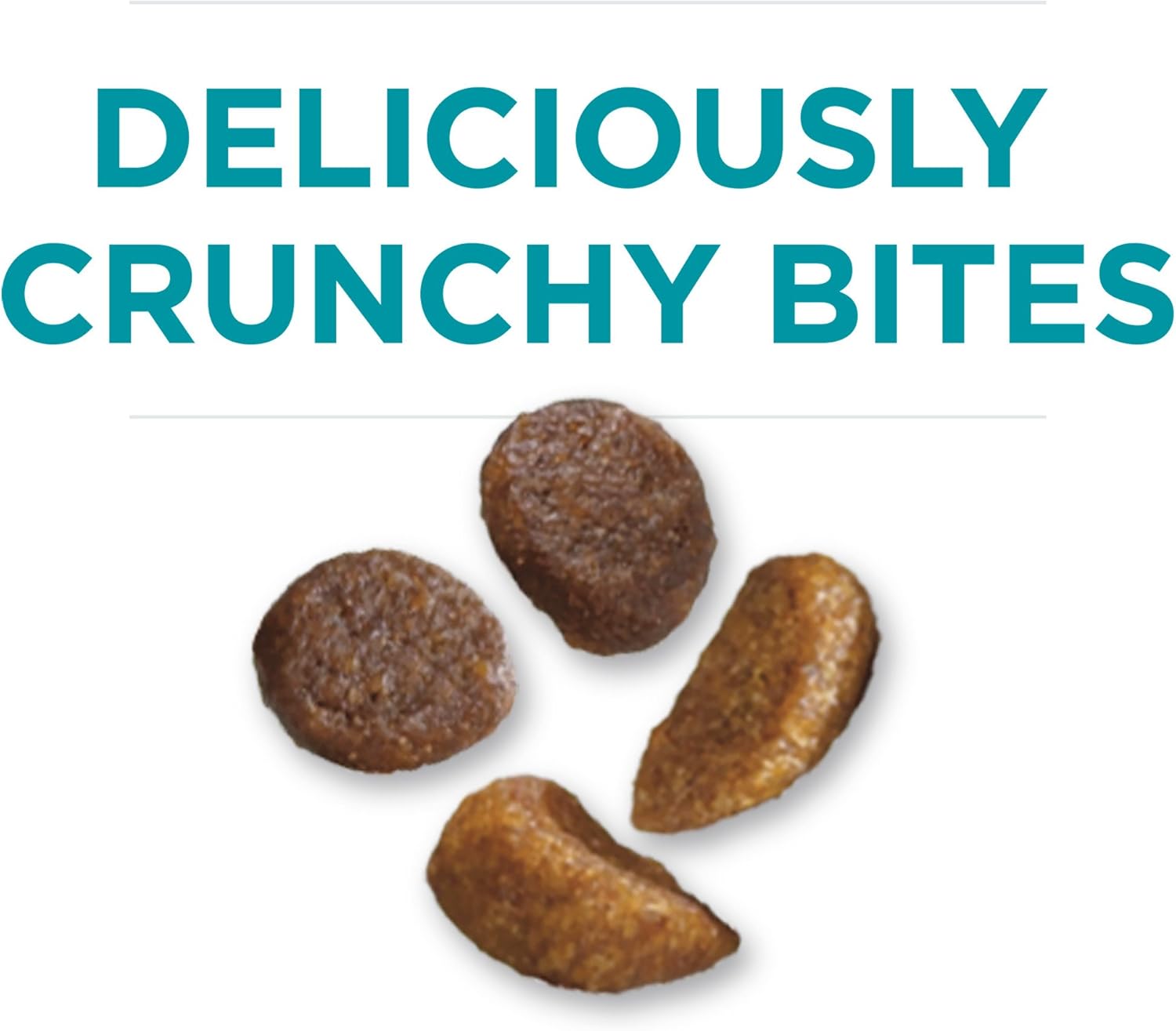 Purina ONE Natural Dry Kitten Food, Healthy Kitten - 16 lb. Bag : Dry Pet Food : Pet Supplies