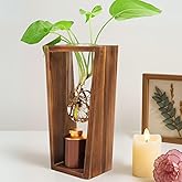 ChoiHeiy Plant Urn with Hydroponics Glass Vase, Small Urns for Human Ashes Keepsake, Memorial Keepsake Urn for Human Ashes, Mini Urns Small Urn for Ashes, Wooden Desk Decor