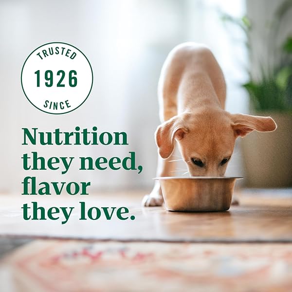 NUTRO ULTRA HIGH PROTEIN DRY PUPPY FOOD, CHICKEN, LAMB AND SALMON, DRY DOG FOOD WITH A TRIO OF PROTEINS, 3.5 LB. BAG