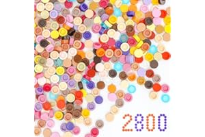 Etarnfly 2800PCS Pixel Bricks, 1X1 Round Plates - 28 Colors Building Blocks Parts and Pieces - Transparent Pixel Arts Dots Bulk Studs Accessories Kit Compatible with Major Brand 98138
