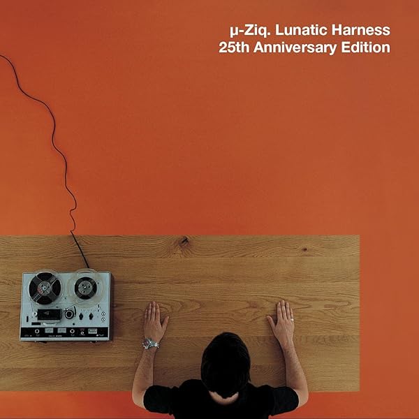 欧2LP μ-Ziq Magic Pony Ride ZIQ444X Planet Mu /00520 4170U2REpJL._SY200_QL15_.jpg
