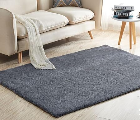Dit Tapis Shaggy Doux épais Pour Salon Chambre Canapé Table