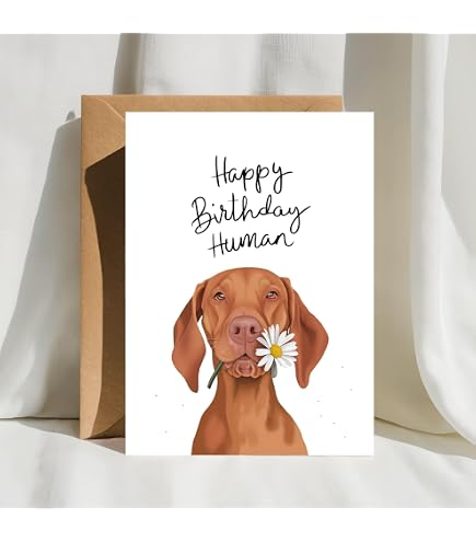 Dog Sign I Am Your Friend Gift For Vizsla Lovers Metal Tin Sign Vintage...