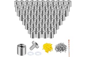 Lyrlidr 76 Pcs 1" X 1" Standoff Screws for Acrylic,Stainless Steel Standoff Screws,Wall Sign Standoff Mounting Hardware Advertising Glass Standoff Nail