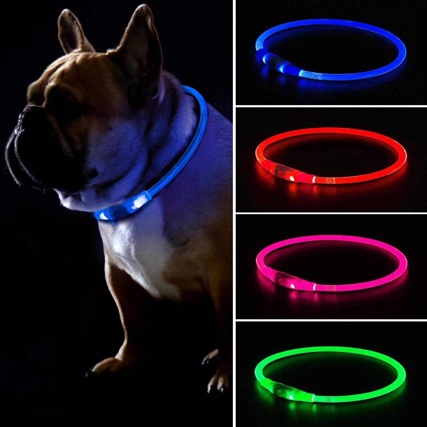 flashing dog collar