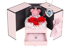 ADDWel Preserved Rose Gifts for Her, Forever Real Flowers with Sterling Silver Necklace for Wife Girlfriend Mom on Birthday Anniversary