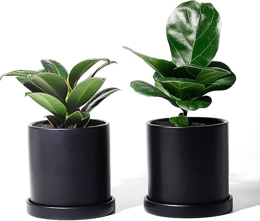 5 5 Better Way Hollow Out Orchid Cache Pot Orchid Planter Ceramic Flower Pots Indoor Succulent Cactus Containers Decorative Centerpiece Vases 5 5 Inch Aurora Purple Leaves Potted Opulence