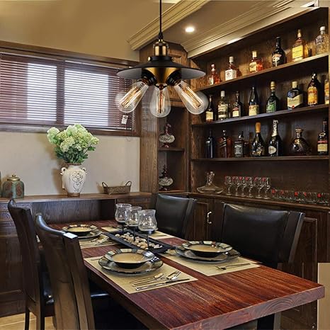 Plug In Handing Lamp Black Pendant Lighting16 4ft Cord Swag Lamps