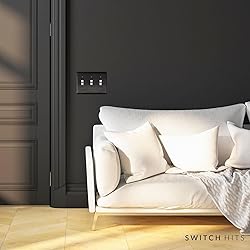 Switch Hits Satin Nickel Black Outlet Wall Plate