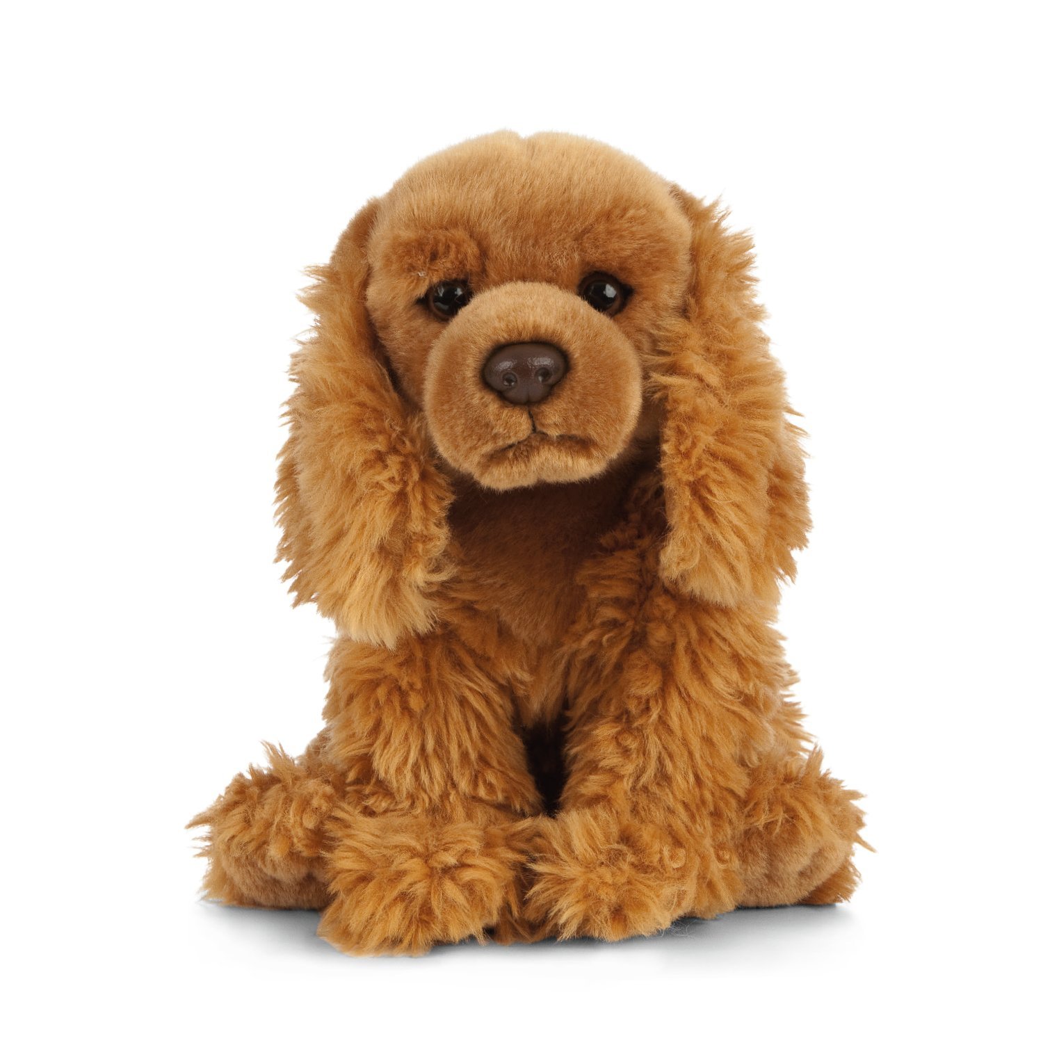 cocker spaniel teddy