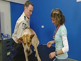 Watch Animal Rescue Prime Video