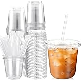 Ziliny 25 Sets Clear Plastic Cups with Lids and Straws, Disposable Iced Coffee Cups for Drinking, Cold Drinks, Juice, Smoothie, Pet Cup for Coffee Shops, Party, Christmas (10 oz)