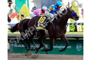 SPORTSPHOTOSUSA American Pharoah Kentucky Derby Triple Crown Winner 8x10 Photo