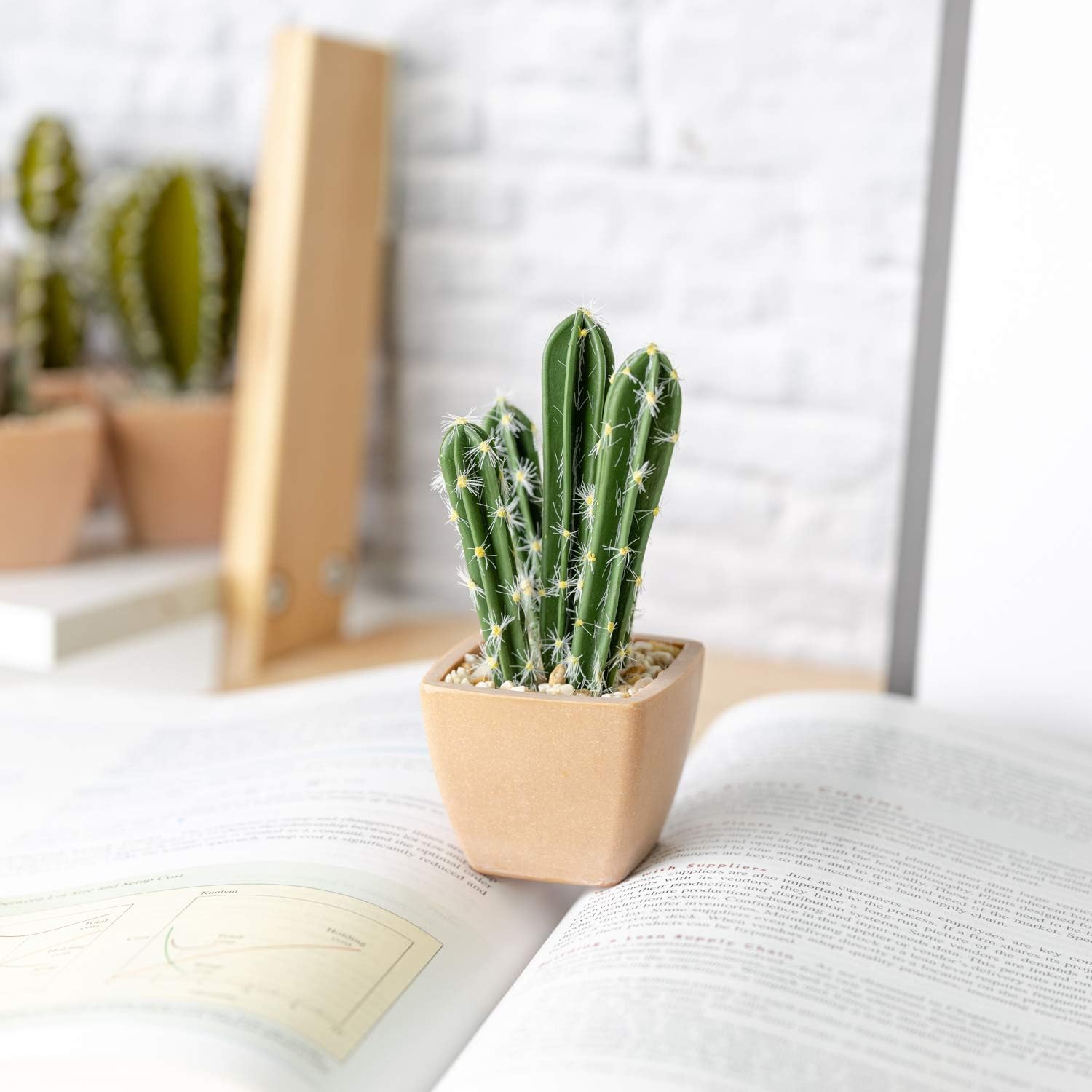 T4U Assorted Artificial Succulent Potted Plants Decorative Plastic Faux Cactus with Pots, Pack of 6 -