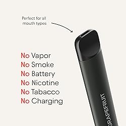 Quitz Natural Flavored Air Inhaler | No Heating