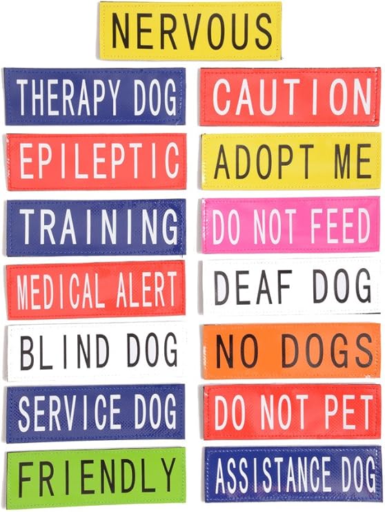assistance dog patches