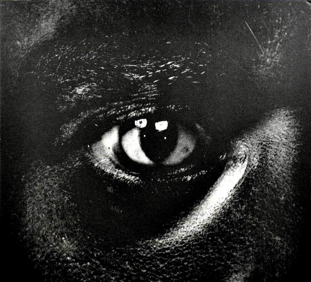 Evolve or Be Extinct