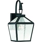 Savoy House 5-100-BK Woodstock Modern Rustic Clear Seeded Glass Outdoor Wall Lantern, 1-Light 60 Watt, 16" H x 8" W, Black
