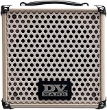 DV MARK ギター コンボアンプ LITTLE JAZZ DVM-LJ