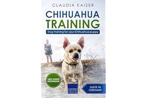 Chihuahua Training: Dog Training for your Chihuahua puppy