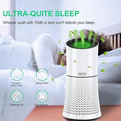 Famtop air purifier Clearance