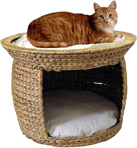 Silvio Design Maison Pour Chat Deux Etages Amazon Fr Animalerie