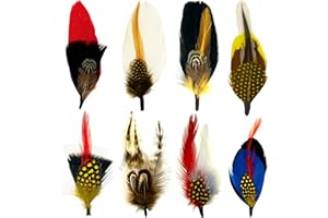 BTREEFLO Hat Feathers, Assorted Natural Feathers Colorful Real Feathers Packs Accessories for Fedora Scott Borges Trilby Hats
