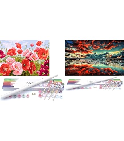 Amazon.com: BAISITE Paint by Numbers Kit for Adults