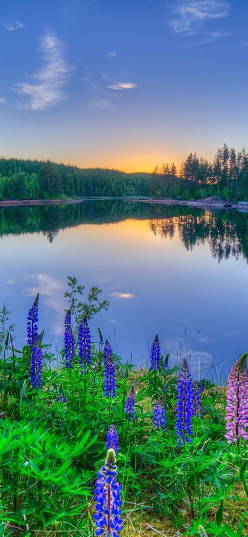 PeelitStickit, Beautiful Landscapes Wall Murals, ID-173, vinyl, Multi-colour