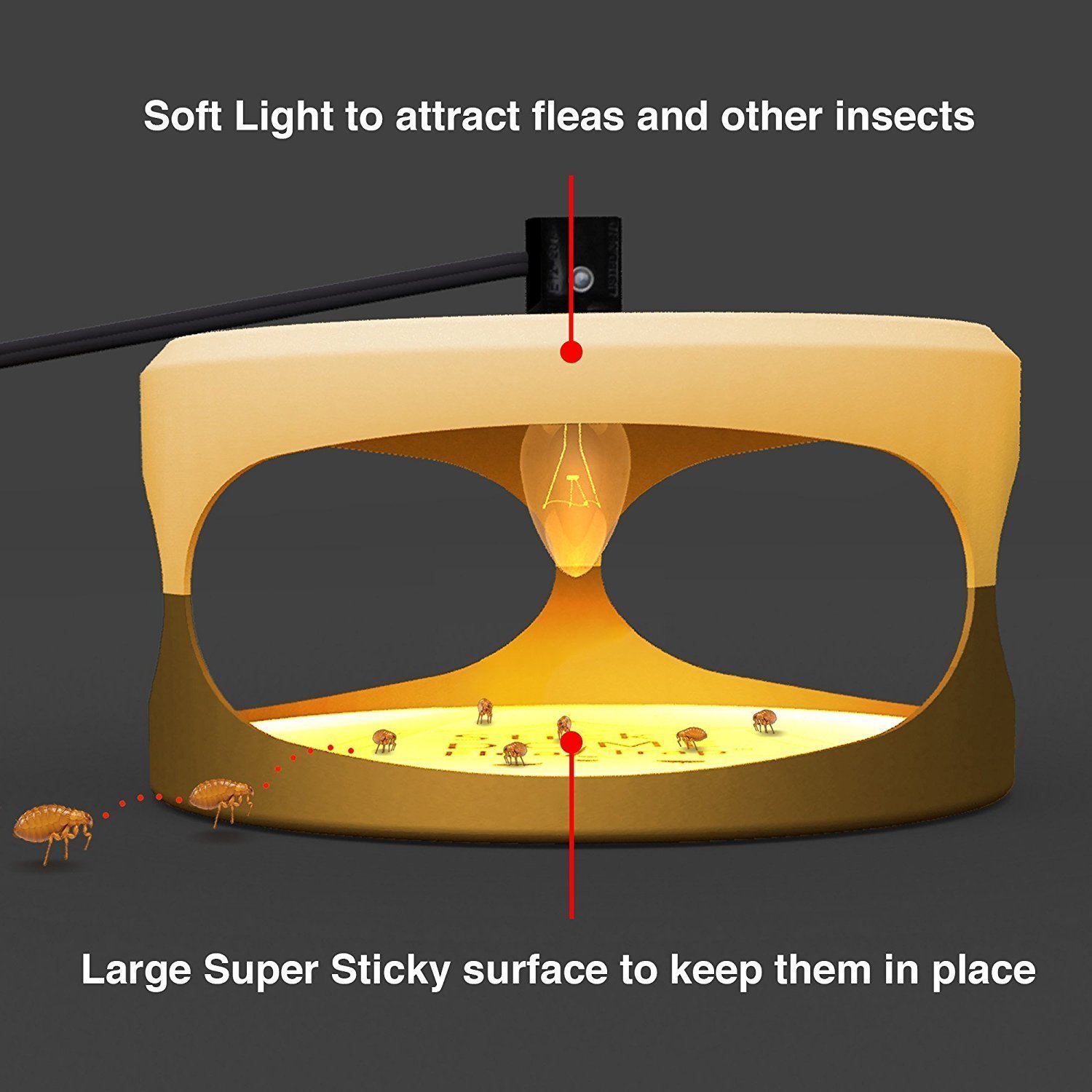 Hoont Indoor Plug-in Electric Sticky Flea Trap with Light and Heat Attracter (Includes 5-Adhesive Glue-Boards) / Eliminates Fleas, Bed Bugs, Flies, Etc. - For Residential and Commercial Use [UPGRADED]