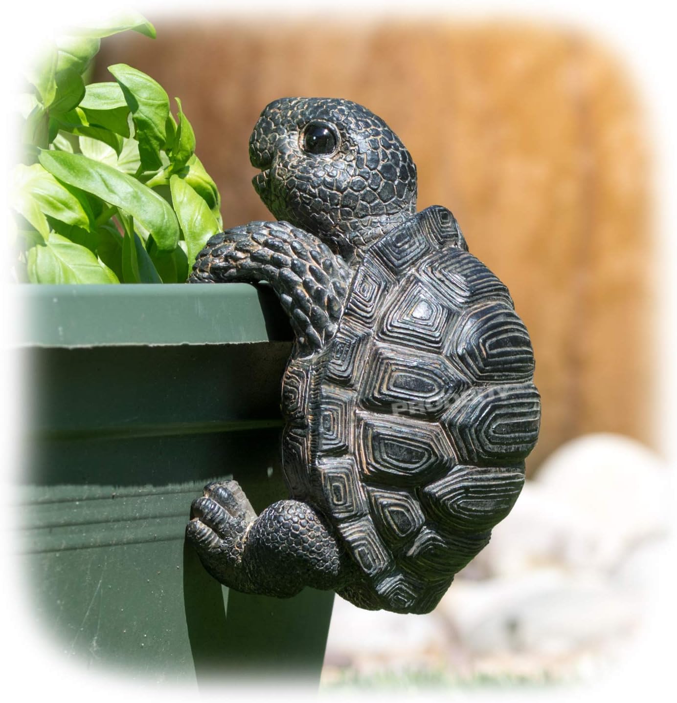 ProdBuy Home Plant Pot Hanging Garden Ornament (Light Black Tortoise) BigaMart