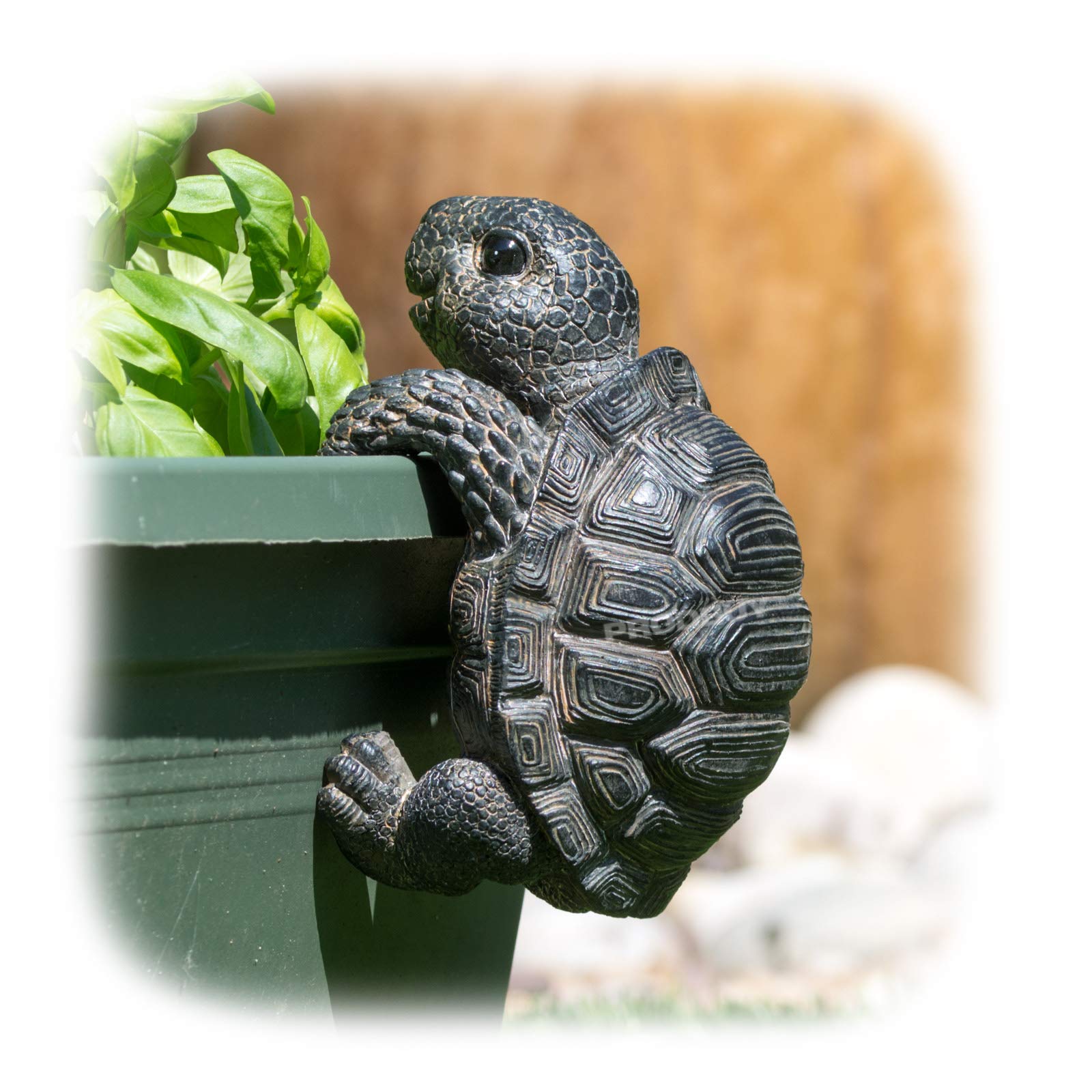 ProdBuy Home Plant Pot Hanging Garden Ornament (Light Black Tortoise)