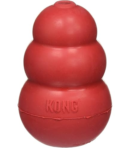 King Kong Para Que Sirve El Kong Para Perros Kong Perro Pequeño