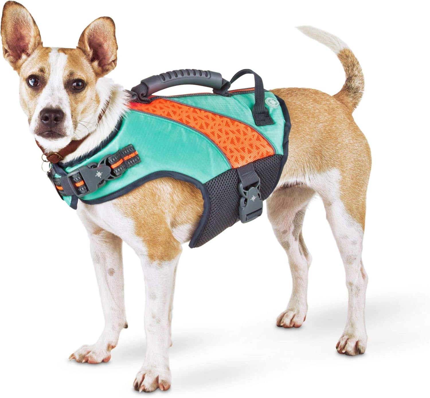 good2go dog life jacket