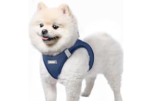 rabbitgoo Small Dog Harness, Step-in Soft Mesh Puppy Vest with Safety Buckle, Breathable Reflective Pet Harness for Small Sized Dogs, Navy Blue S