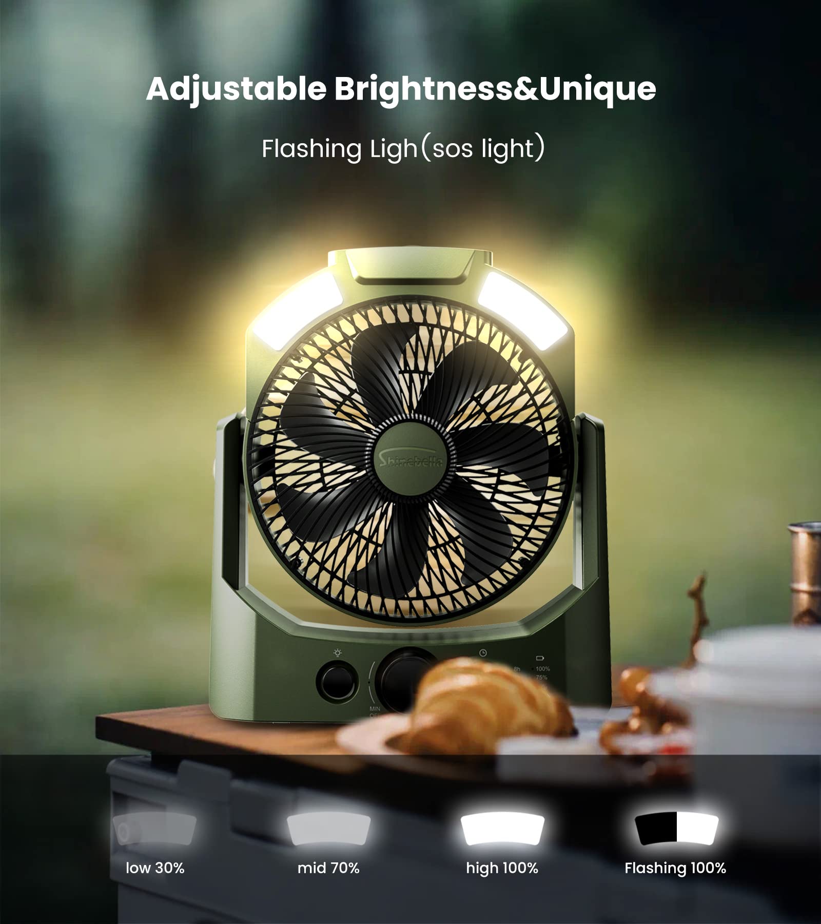 D Battery Powered Camping Fan (Batteries Not Included) with 4 Timer Modes, 8.5’’ Desk Fan with LED Lantern and SOS Light, 180° Rotation, Quiet, Handle, USB Travel Office, Adjustable Speed Knob