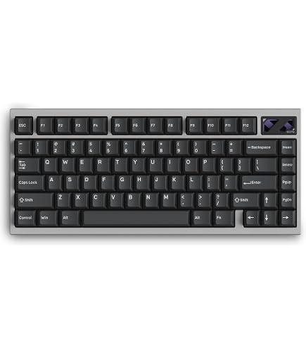 Amazon.com: IQUNIX EV63 Hall Effect Magnetic Gaming Keyboard 60
