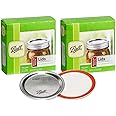 Ball Regular Mouth Mason Glass Jar Lids (24-Count), Silver