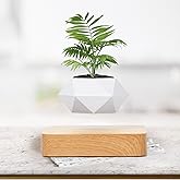 Leekimid Levitating Plant Pot, Magnetic Levitation Flower Pot Suspension Floating Plant Succulents, Air Bonsai Potted Plant f