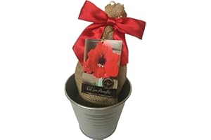 DAYLILY NURSERY Rustic Tin Red Lion Amaryllis Holiday Gift Growing Kit, Deluxe Edition. Includes a Rustic Silver Pot, 1 Large Bulb, a Burlap Gift Bag and Professional Growing Medium